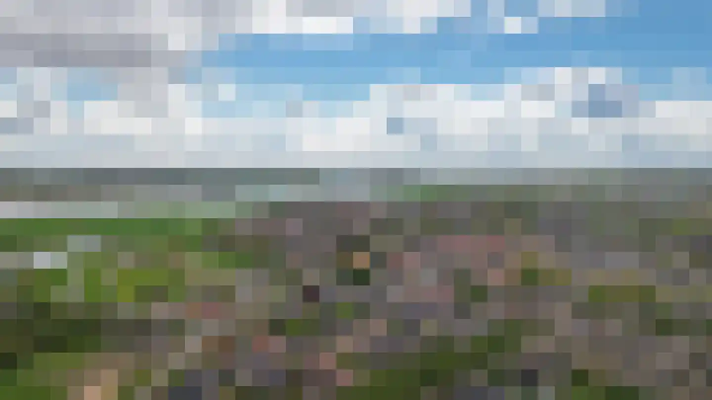 Prunusstraat 3 Ochten thumbnail 68