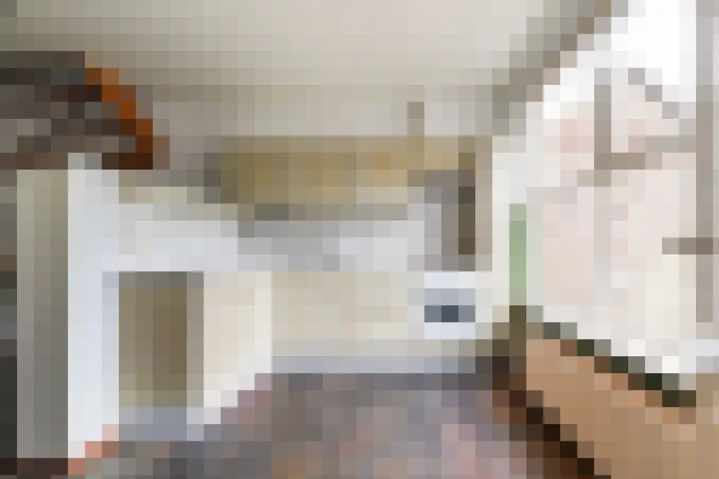Prunusstraat 32 Oisterwijk thumbnail 15