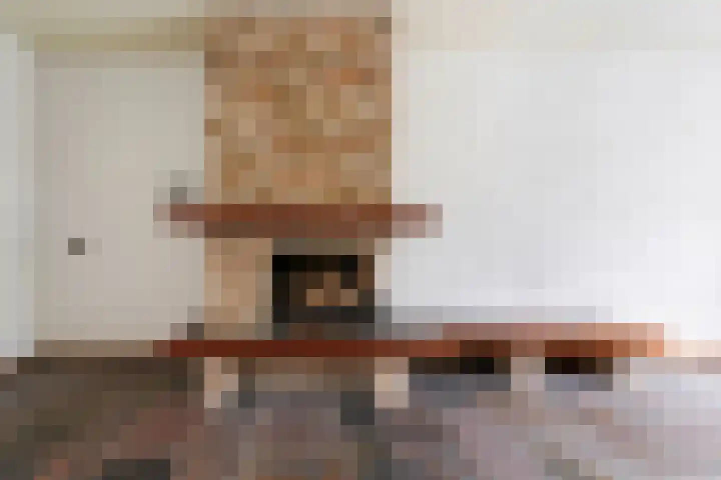 Prunusstraat 32 Oisterwijk thumbnail 21