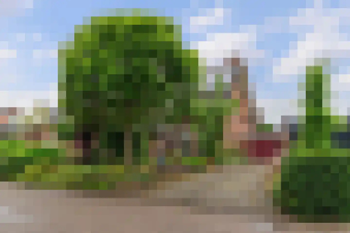 Prunusstraat 32 Oisterwijk thumbnail 4