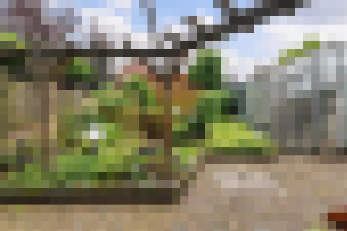 Prunusstraat 32 Oisterwijk thumbnail 40