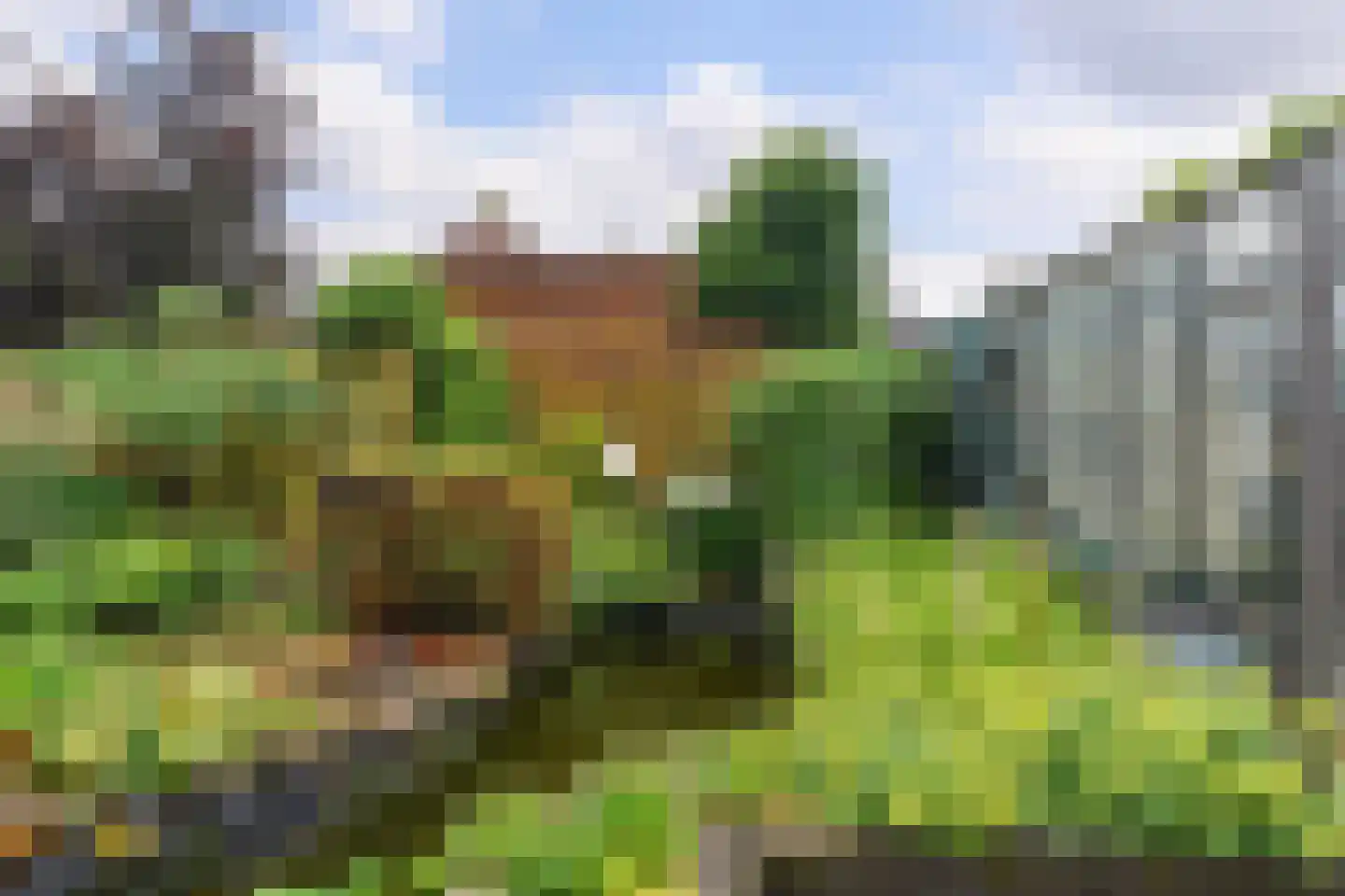 Prunusstraat 32 Oisterwijk thumbnail 43