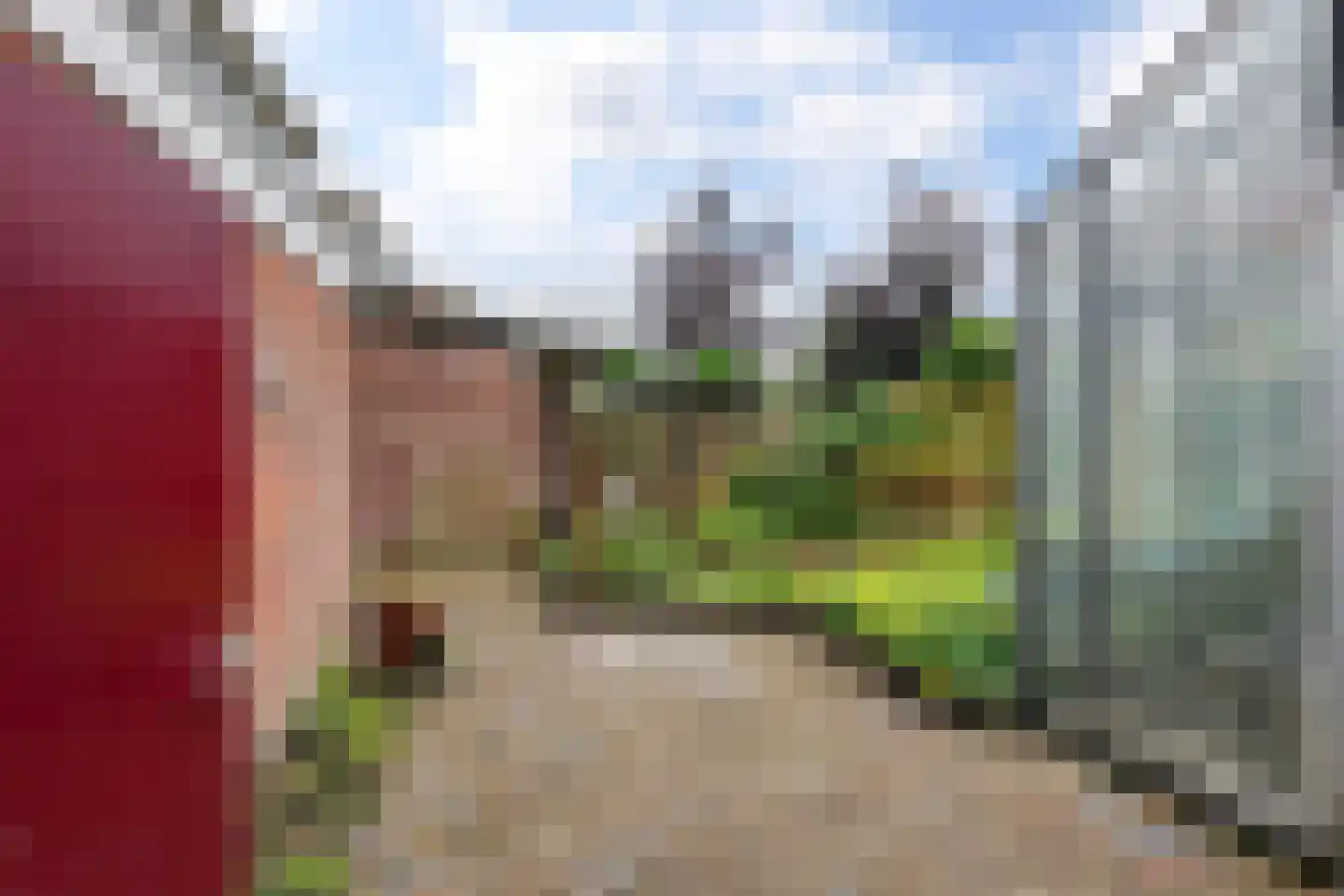 Prunusstraat 32 Oisterwijk thumbnail 47