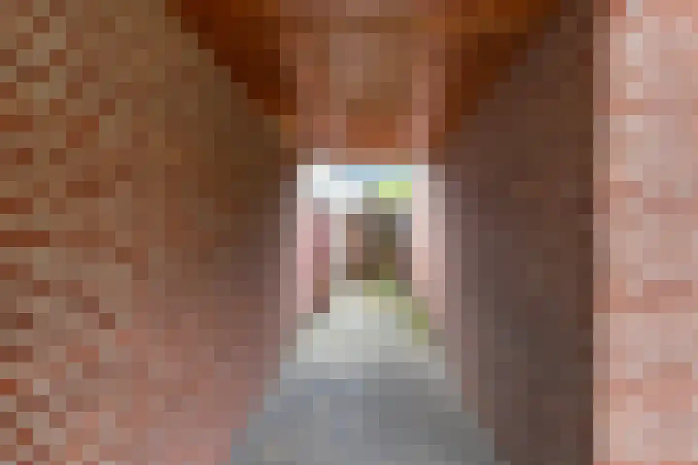 Prunusstraat 32 Oisterwijk thumbnail 49