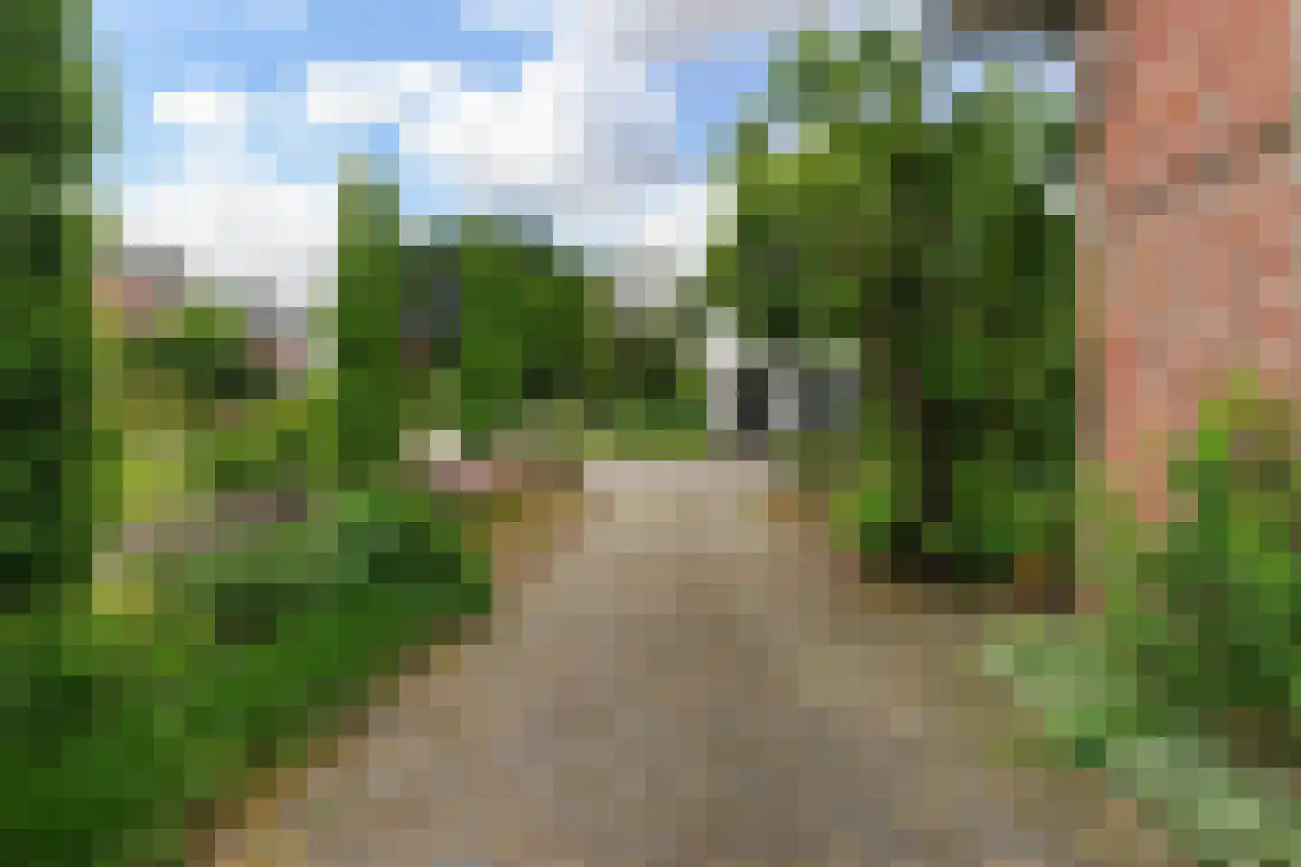 Prunusstraat 32 Oisterwijk thumbnail 7