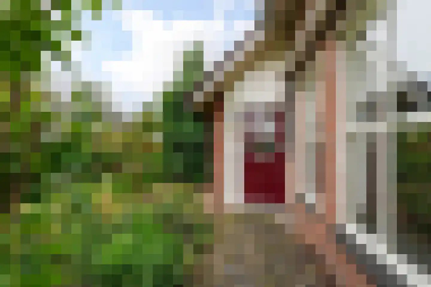 Prunusstraat 32 Oisterwijk thumbnail 8