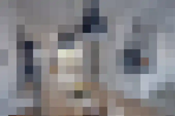 Prunusstraat 40 Borculo thumbnail 10