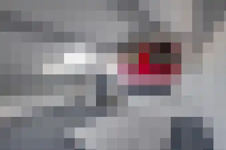 Prunusstraat 40 Borculo thumbnail 22
