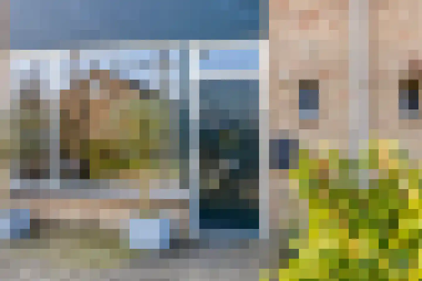 Prunusstraat 40 Winterswijk thumbnail 5