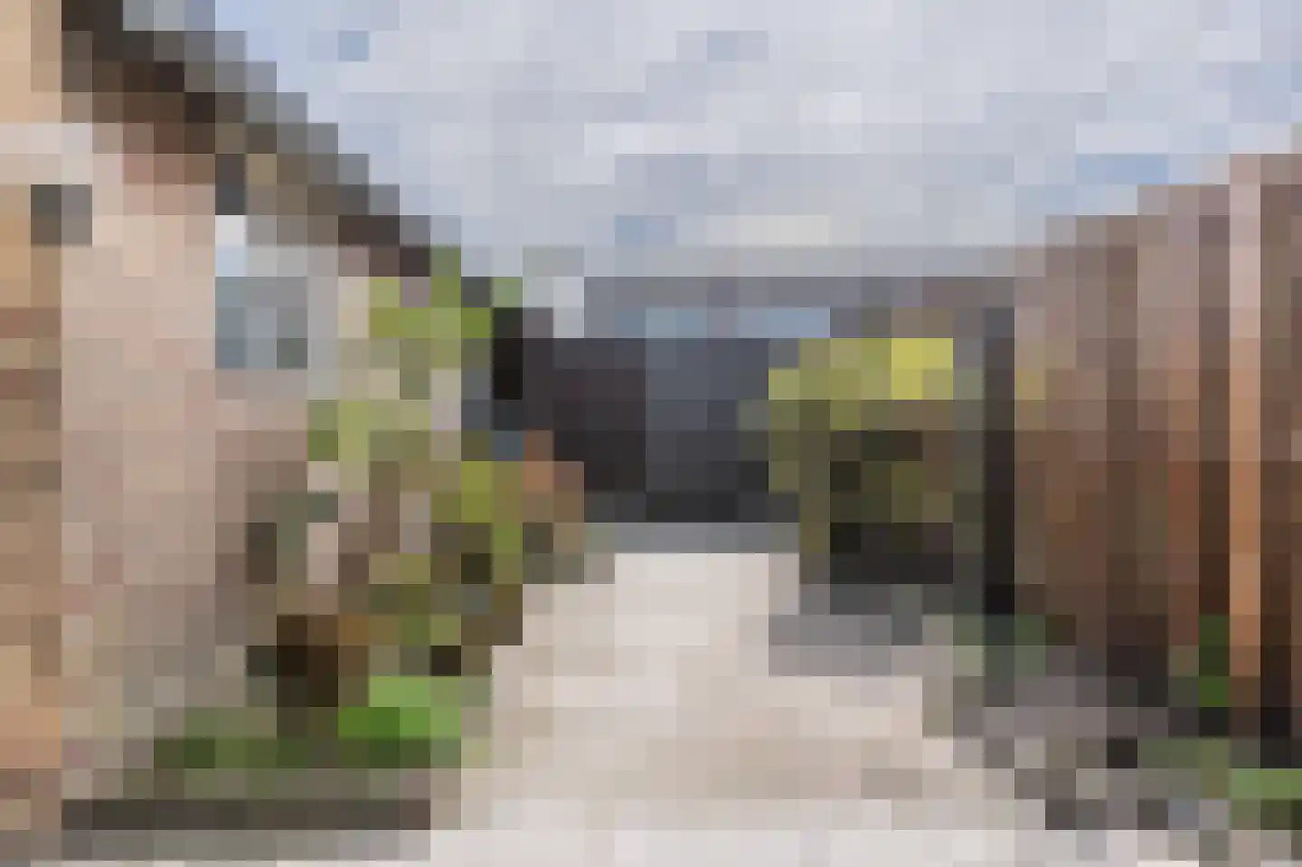 Prunusstraat 46 Winterswijk thumbnail 21