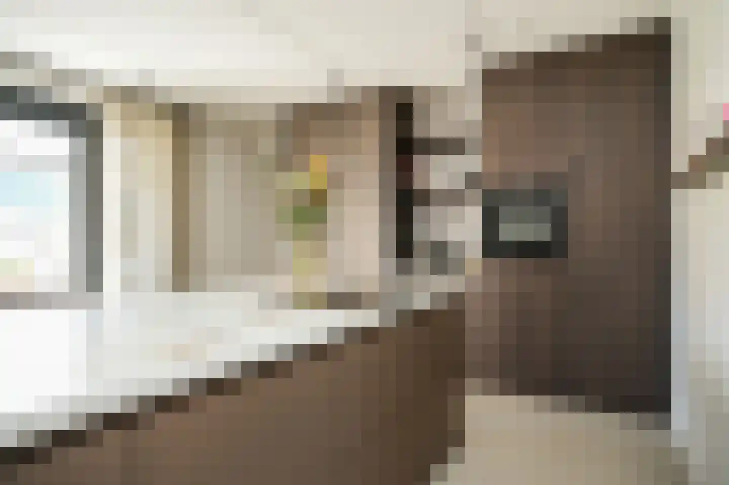 Prunusstraat 5 Ochten thumbnail 16