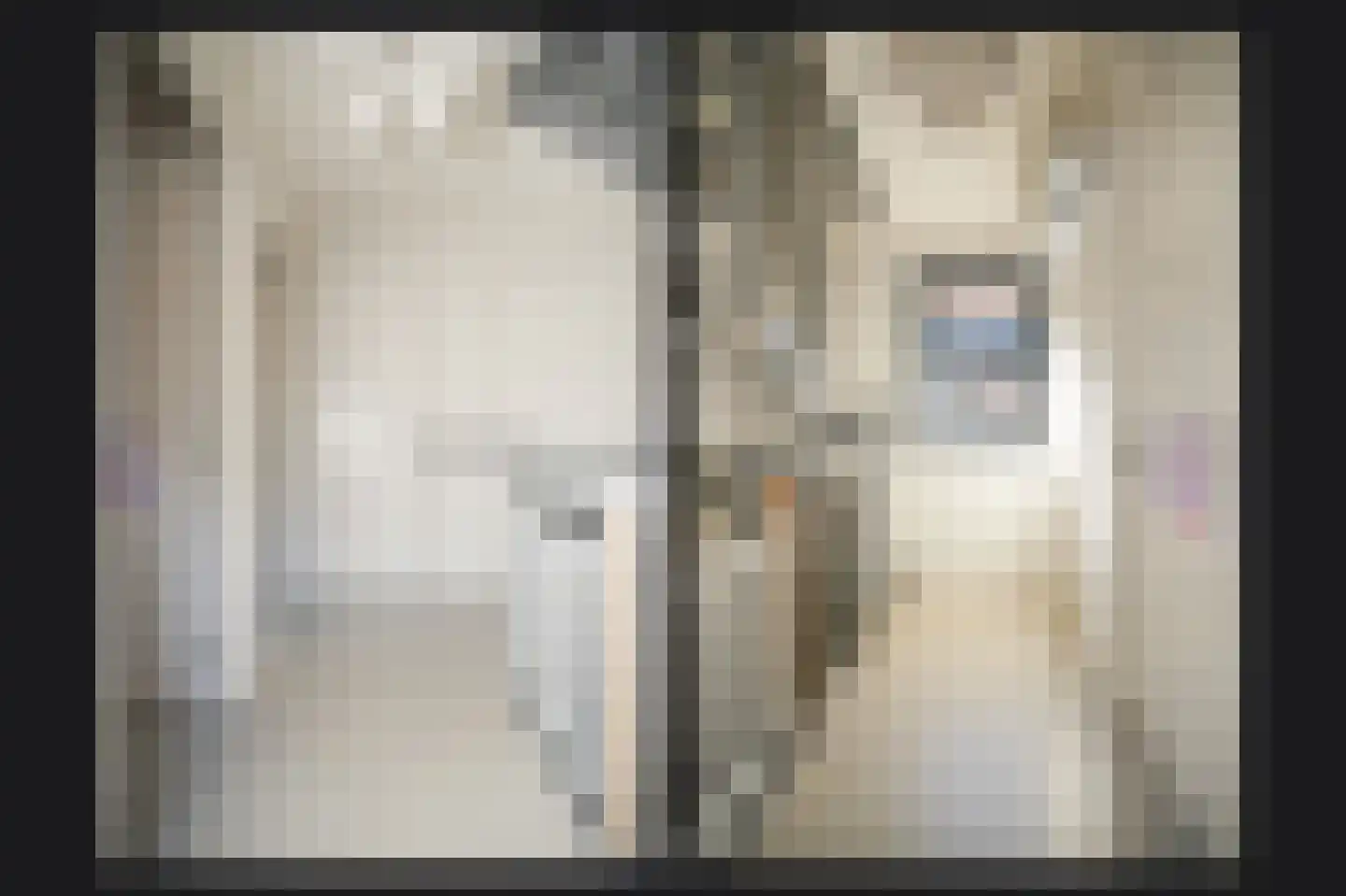 Prunusstraat 5 Ochten thumbnail 34