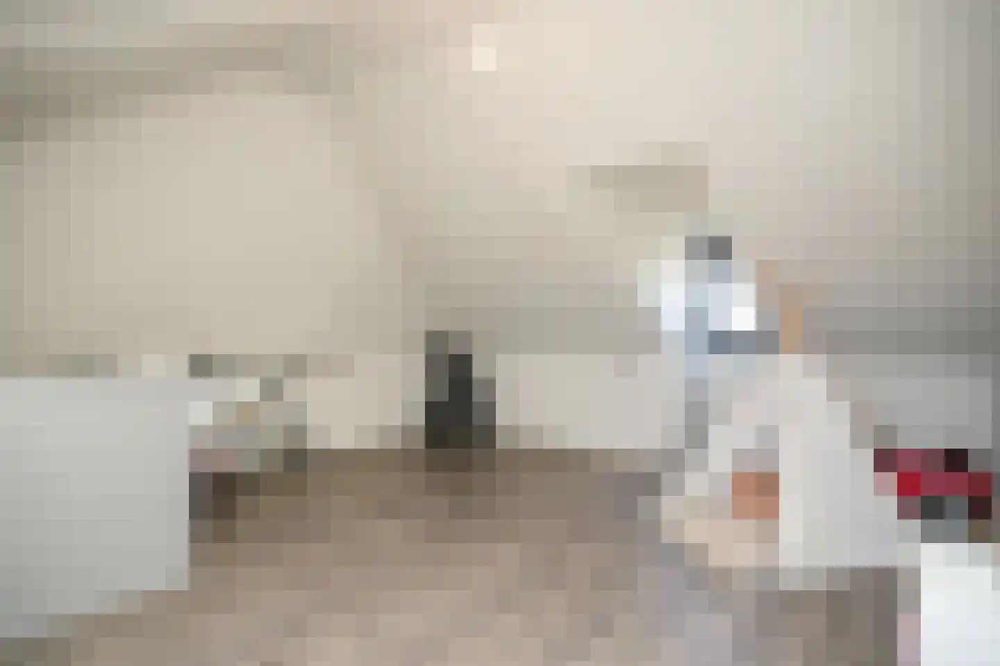 Prunusstraat 5 Ochten thumbnail 36
