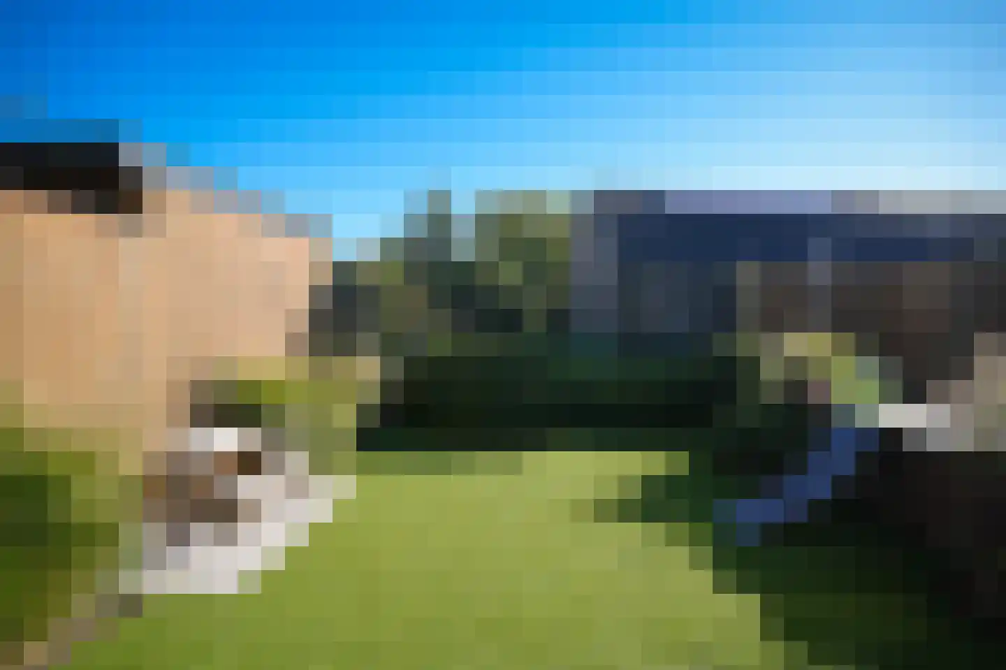 Prunusstraat 5 Ochten thumbnail 41
