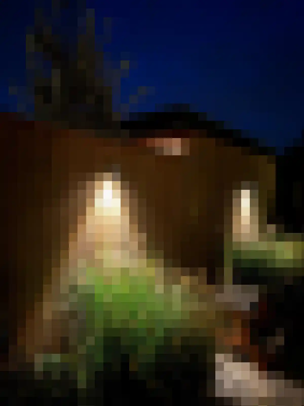 Prunusstraat 5 Ochten thumbnail 57