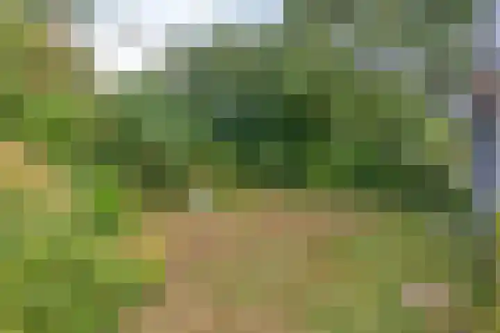Prunusstraat 5 's-Gravenpolder thumbnail 36