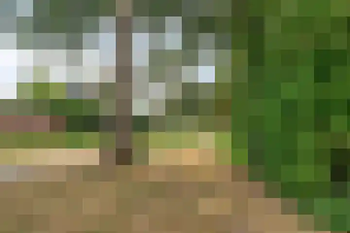 Prunusstraat 5 's-Gravenpolder thumbnail 39