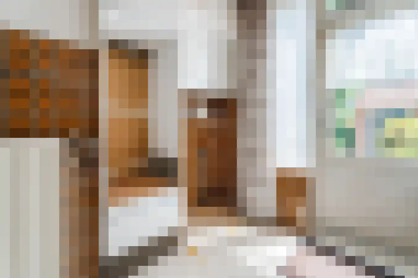 Prunusstraat 5 Schipluiden thumbnail 23