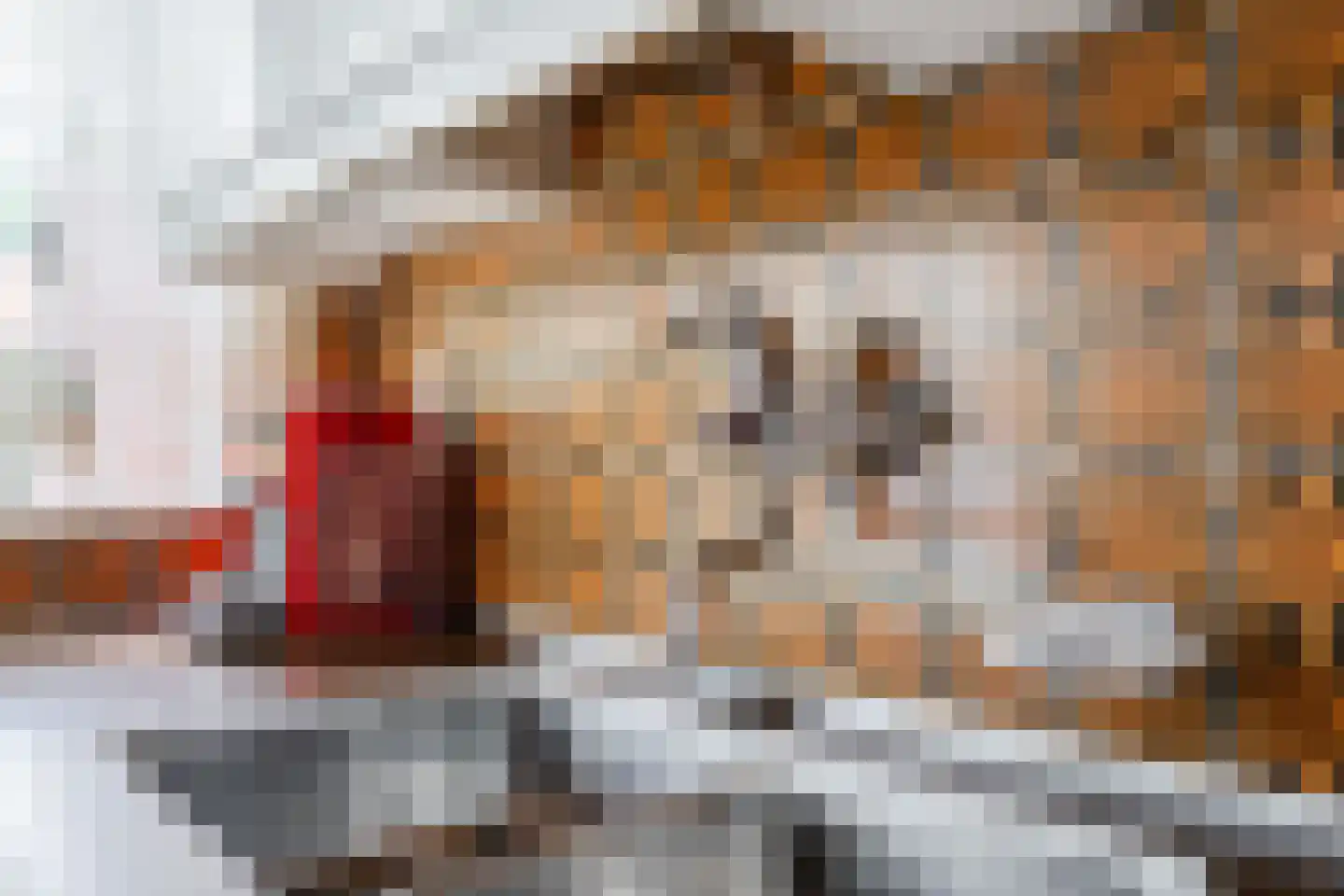 Prunusstraat 5 Schipluiden thumbnail 24