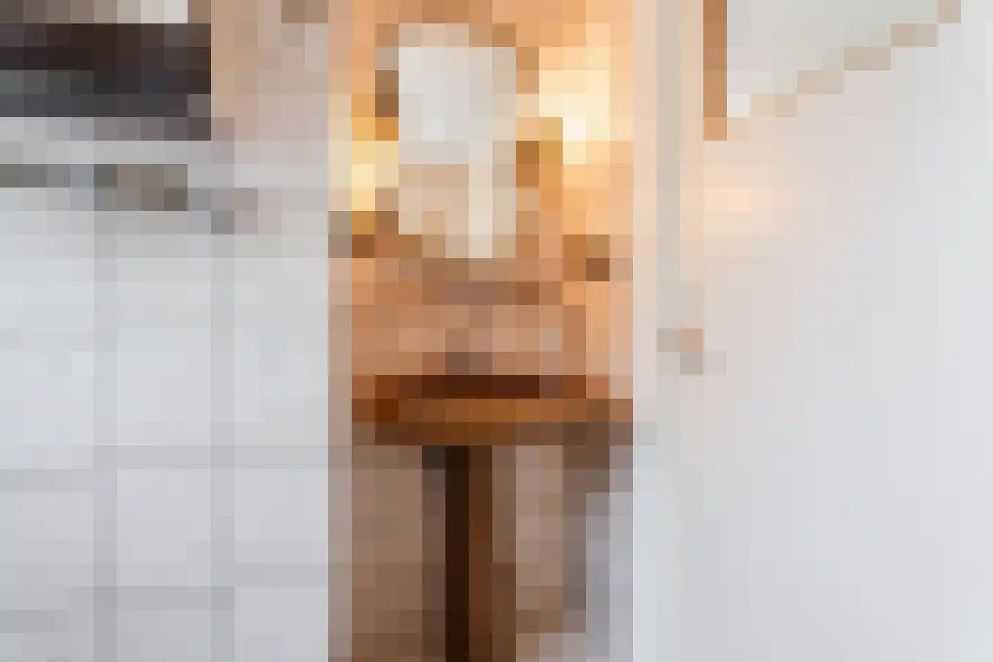 Prunusstraat 5 Schipluiden thumbnail 34