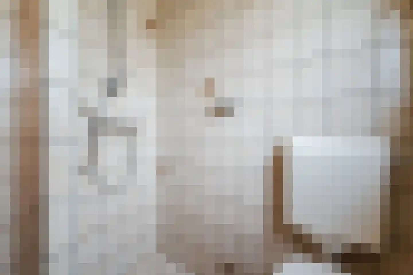 Prunusstraat 5 Schipluiden thumbnail 35
