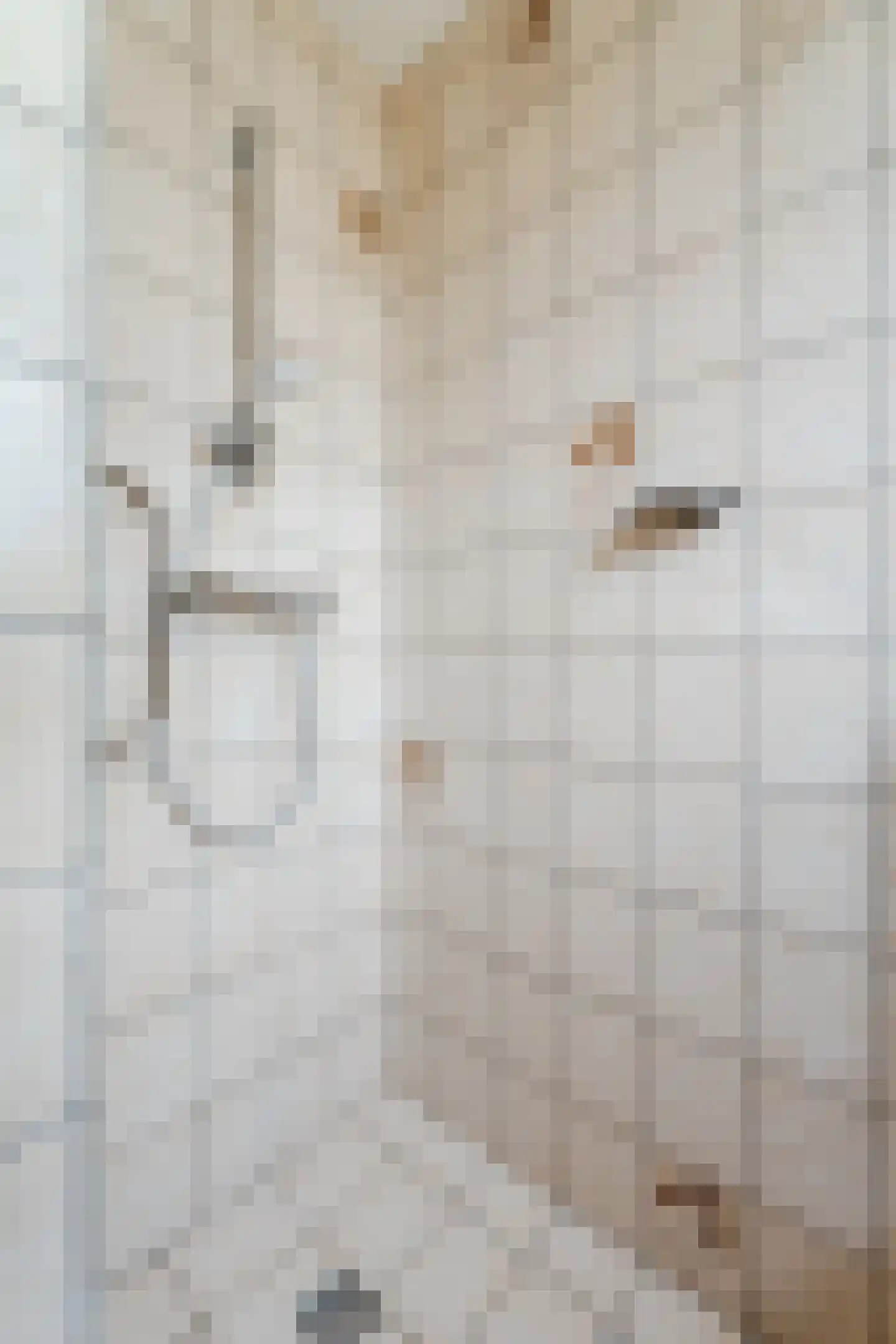 Prunusstraat 5 Schipluiden thumbnail 36