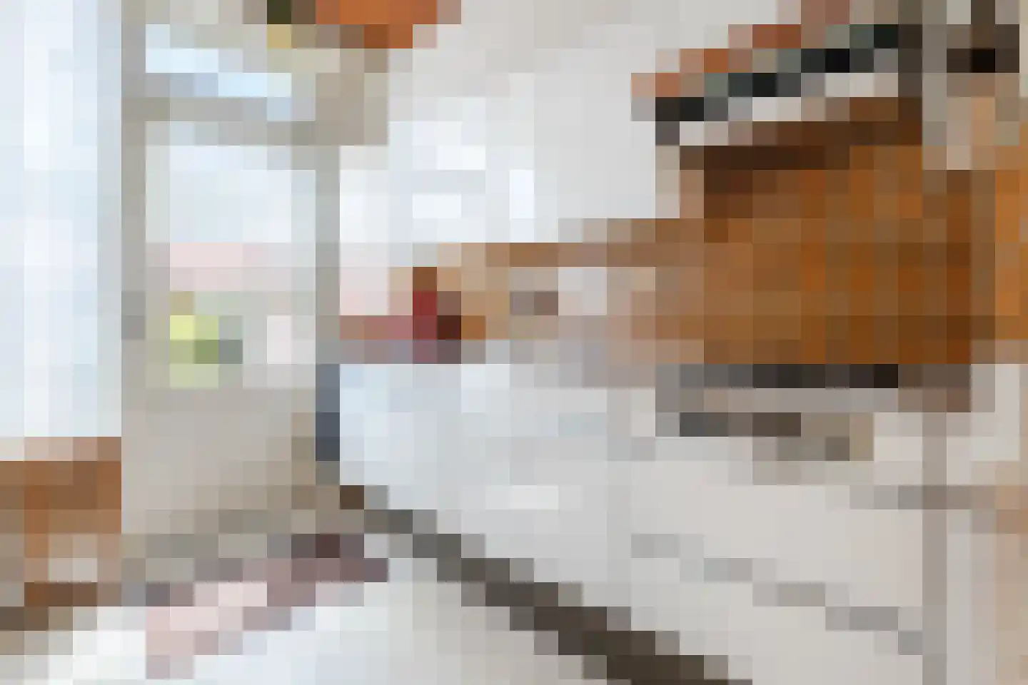 Prunusstraat 5 Schipluiden thumbnail 4