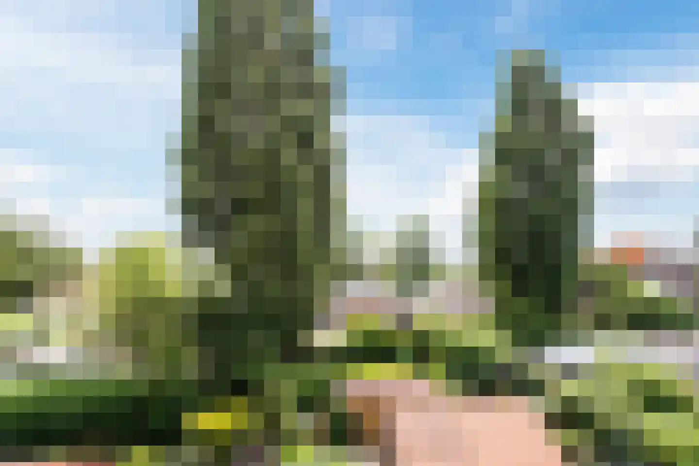 Prunusstraat 5 Schipluiden thumbnail 43
