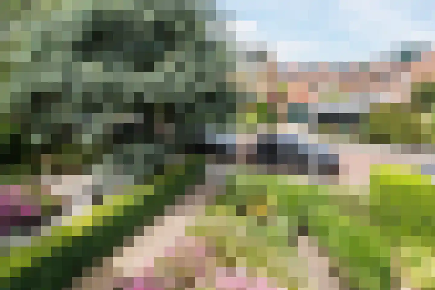 Prunusstraat 5 Schipluiden thumbnail 44
