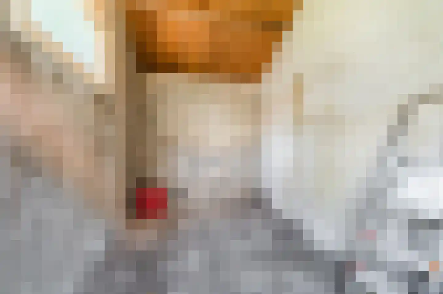 Prunusstraat 5 Schipluiden thumbnail 47