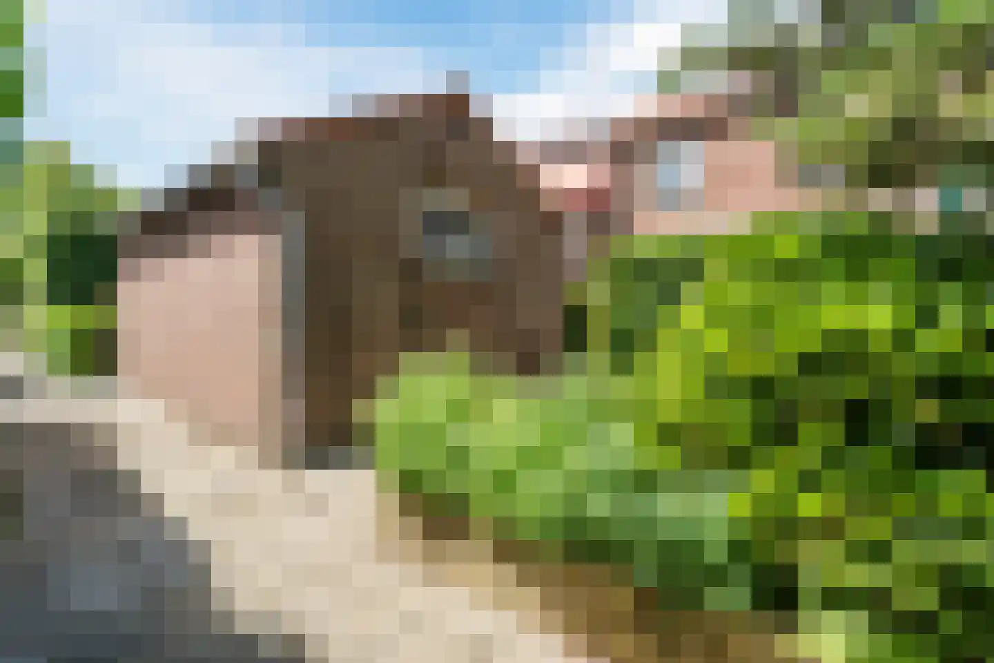 Prunusstraat 5 Schipluiden thumbnail 55