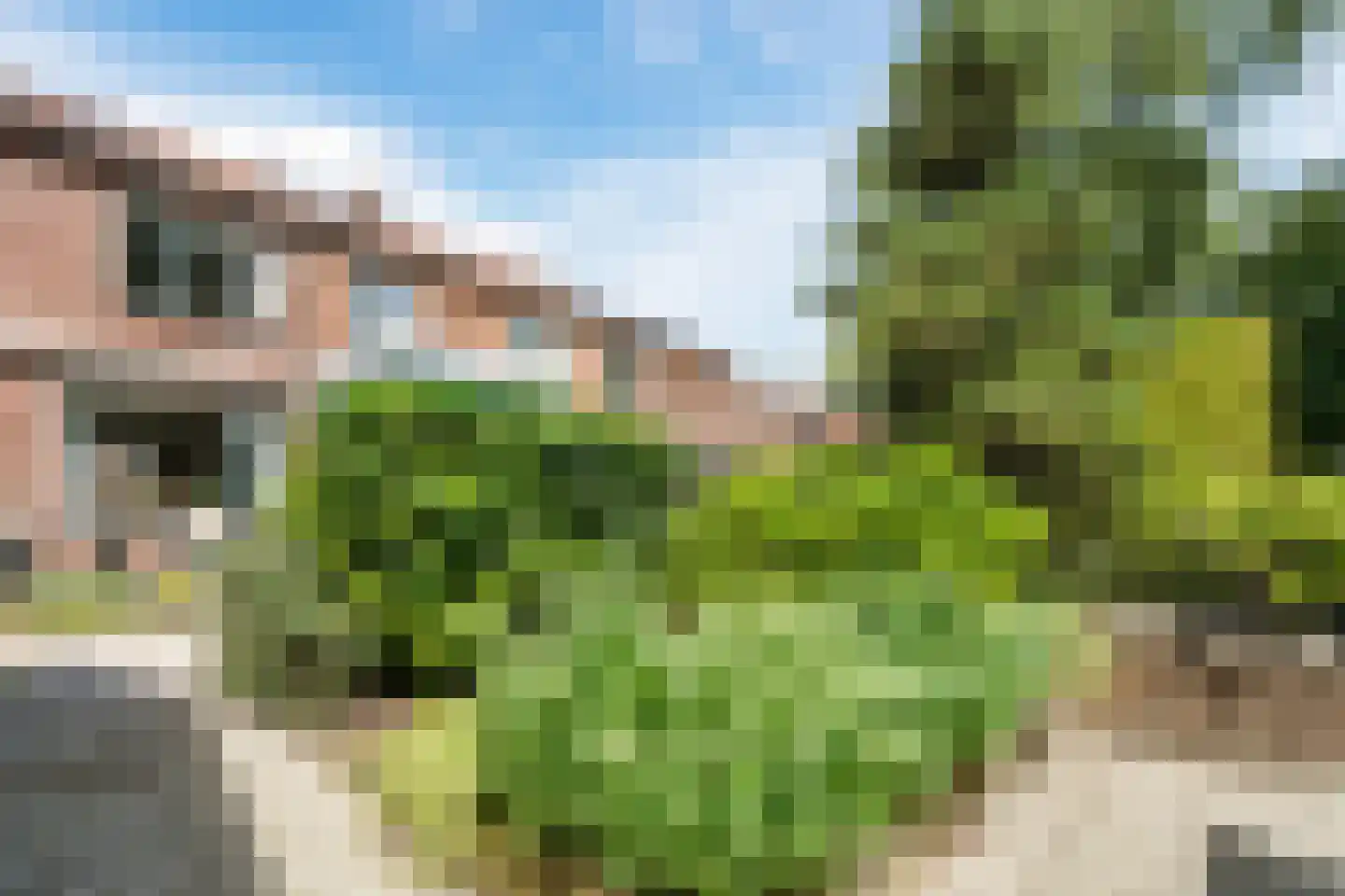Prunusstraat 5 Schipluiden thumbnail 56