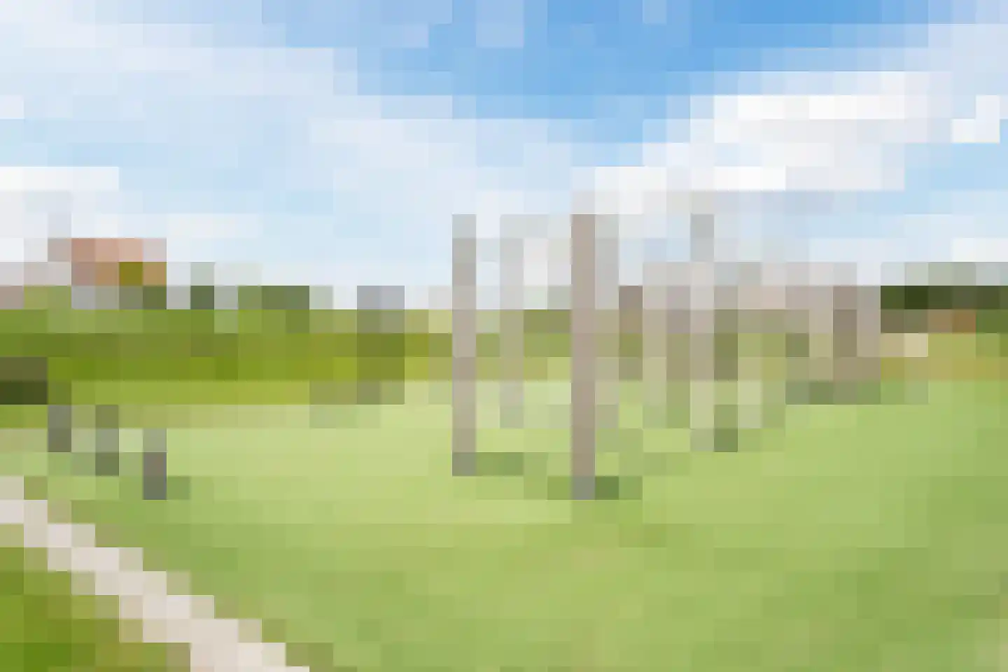 Prunusstraat 5 Schipluiden thumbnail 65
