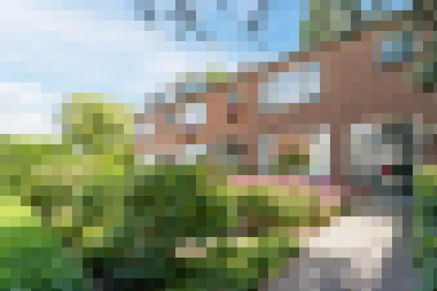 Prunusstraat 5 Schipluiden thumbnail 7