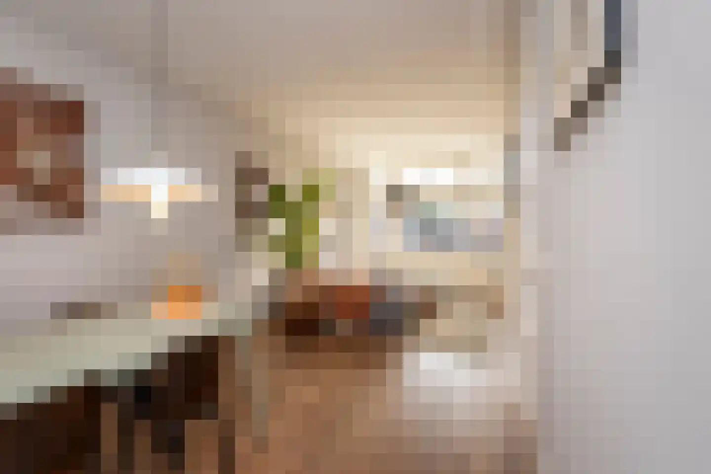 Prunusstraat 5 Tilburg thumbnail 15