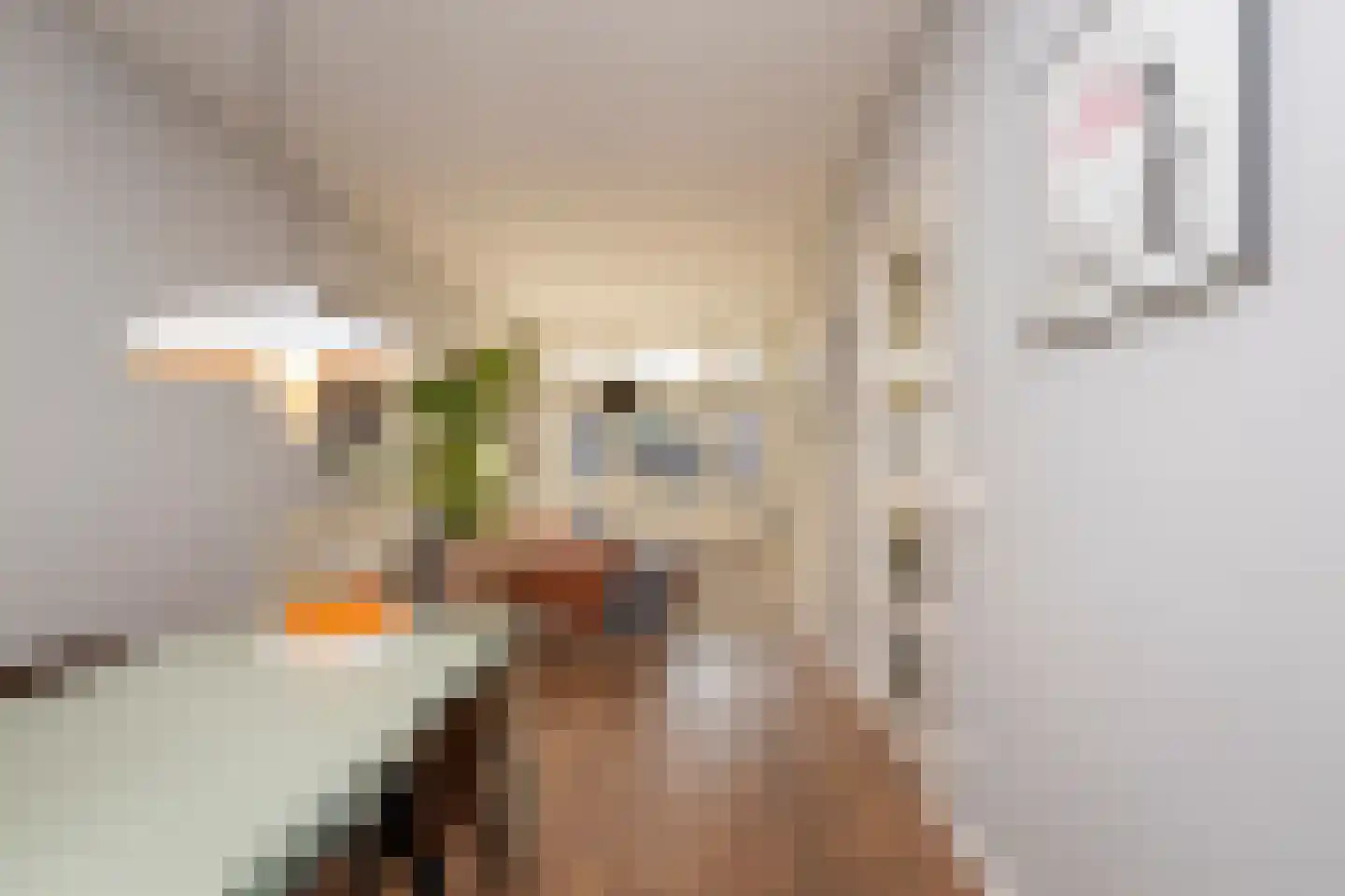 Prunusstraat 5 Tilburg thumbnail 16
