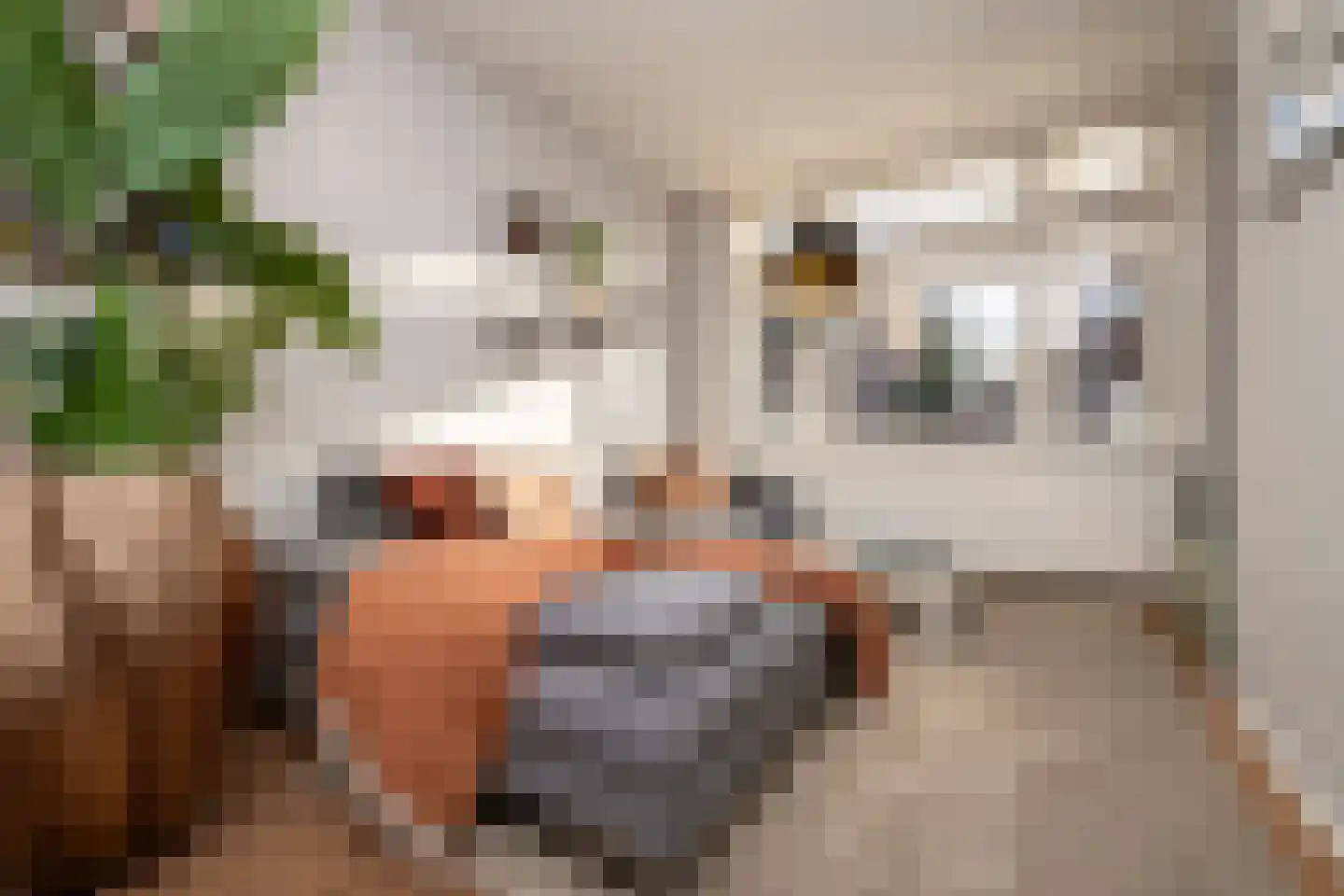 Prunusstraat 5 Tilburg thumbnail 17