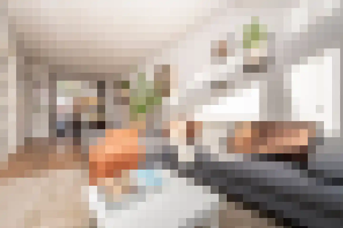 Prunusstraat 5 Tilburg thumbnail 18