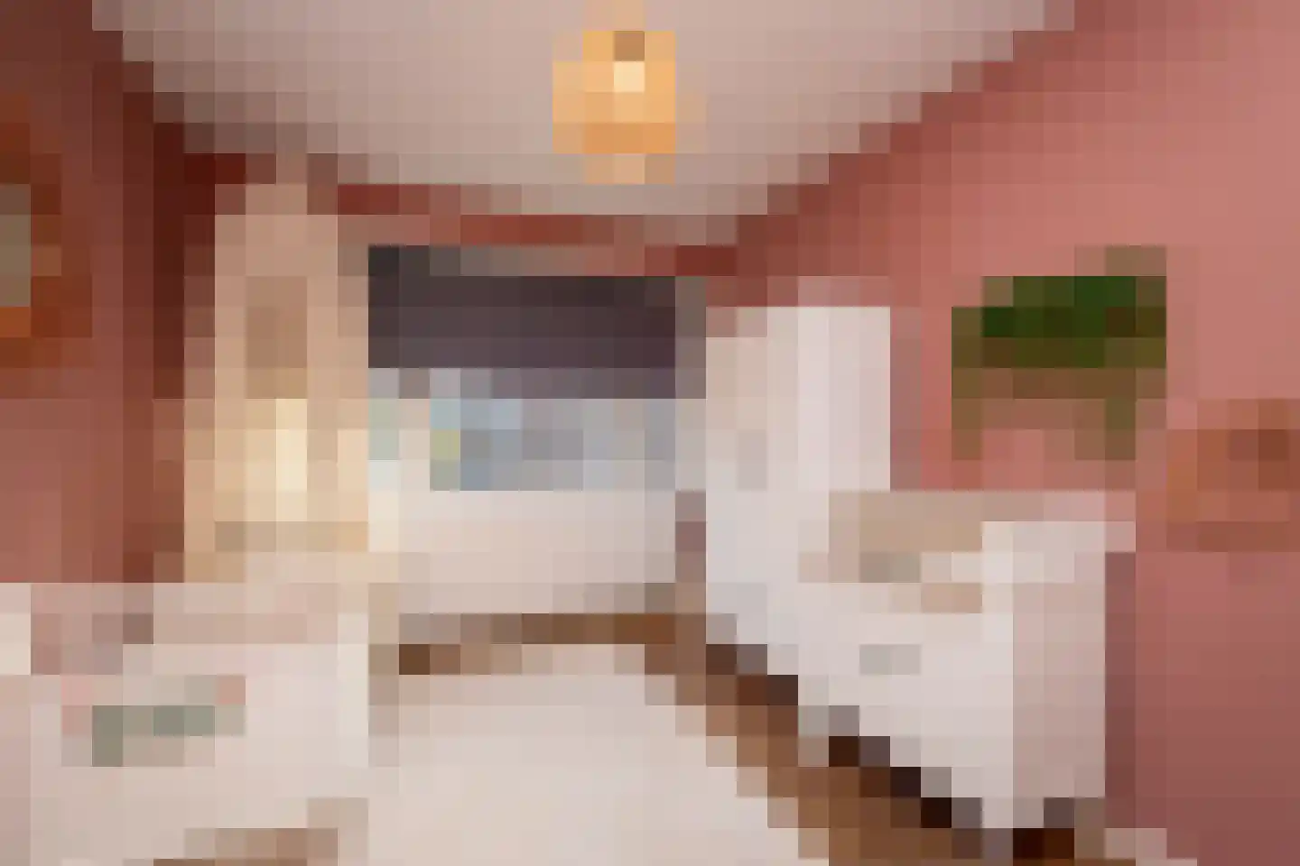 Prunusstraat 5 Tilburg thumbnail 26