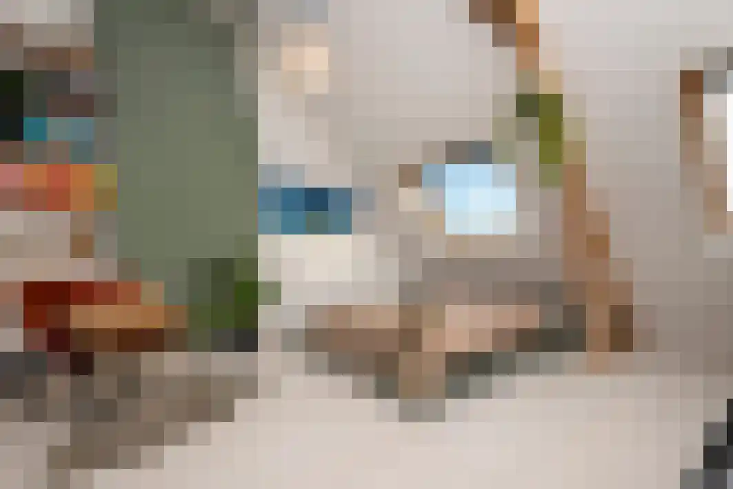 Prunusstraat 5 Tilburg thumbnail 34