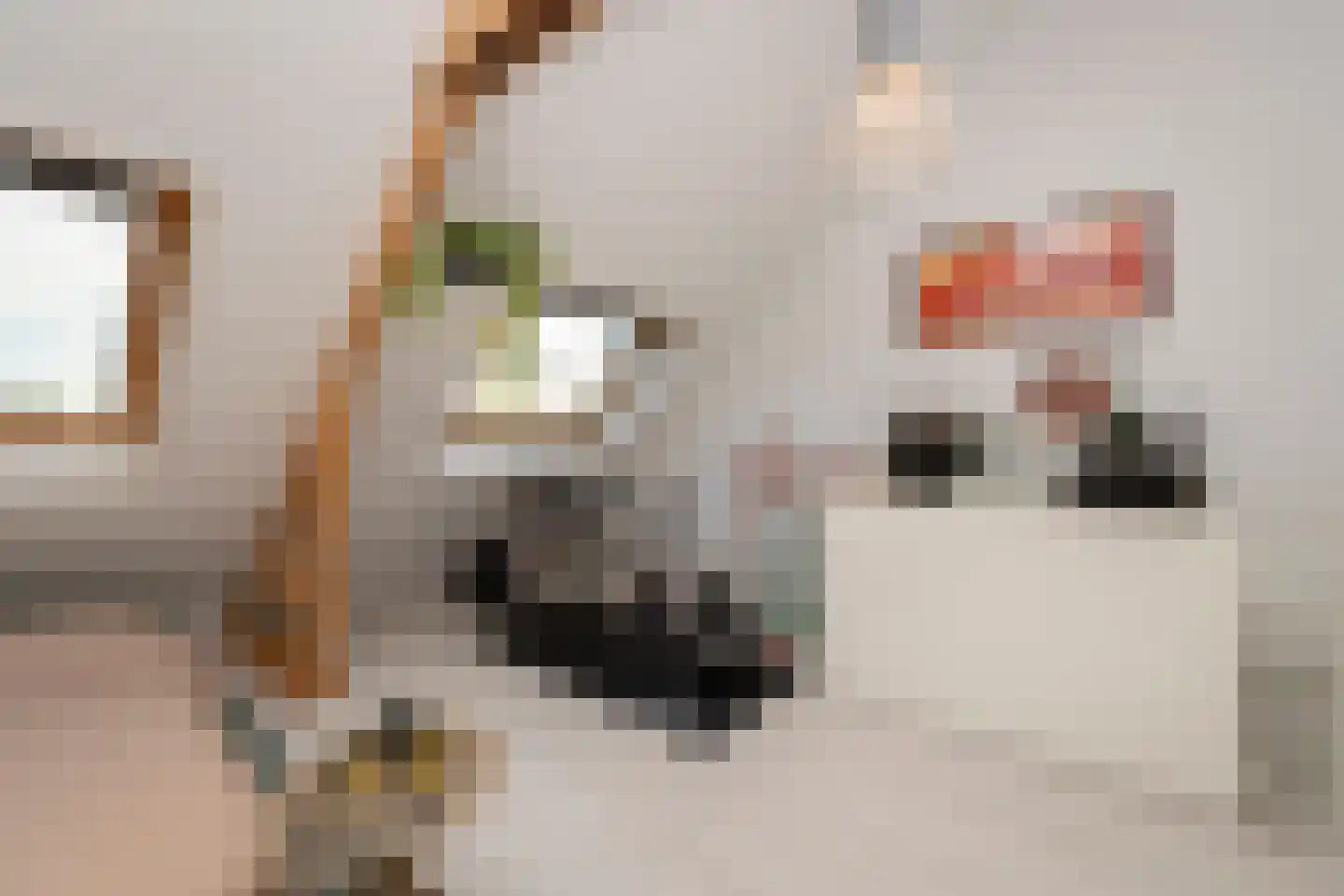 Prunusstraat 5 Tilburg thumbnail 36