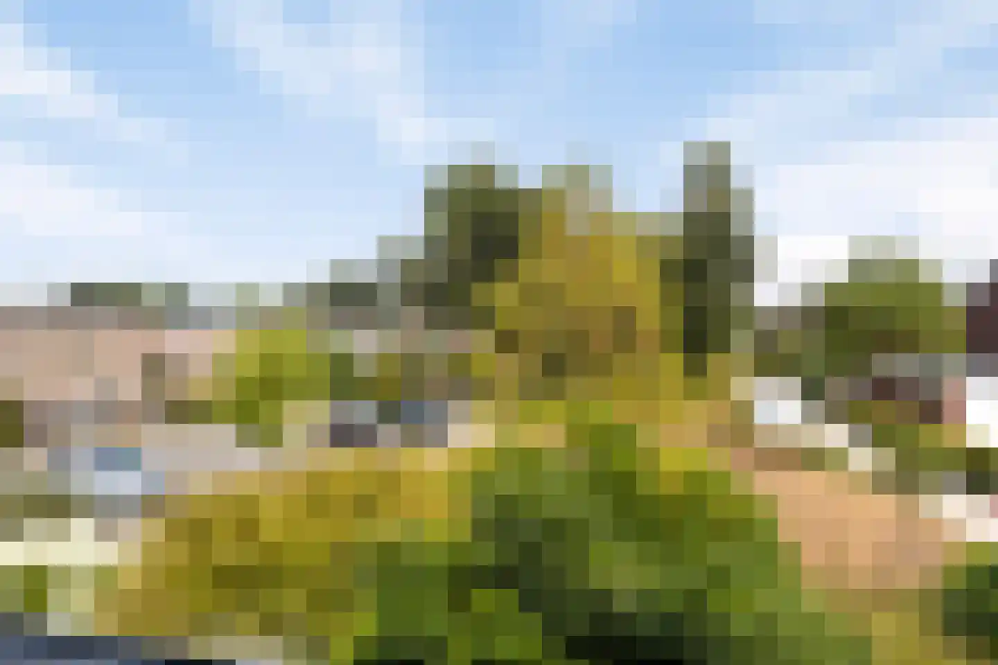 Prunusstraat 57 Borculo thumbnail 18
