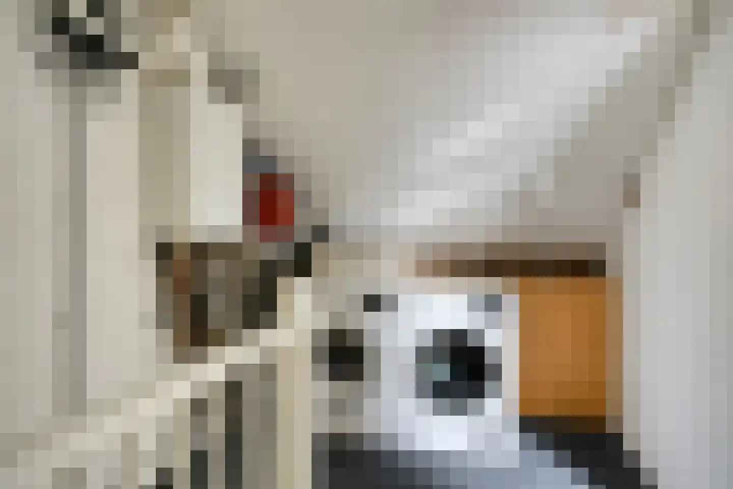 Prunusstraat 57 Oisterwijk thumbnail 17