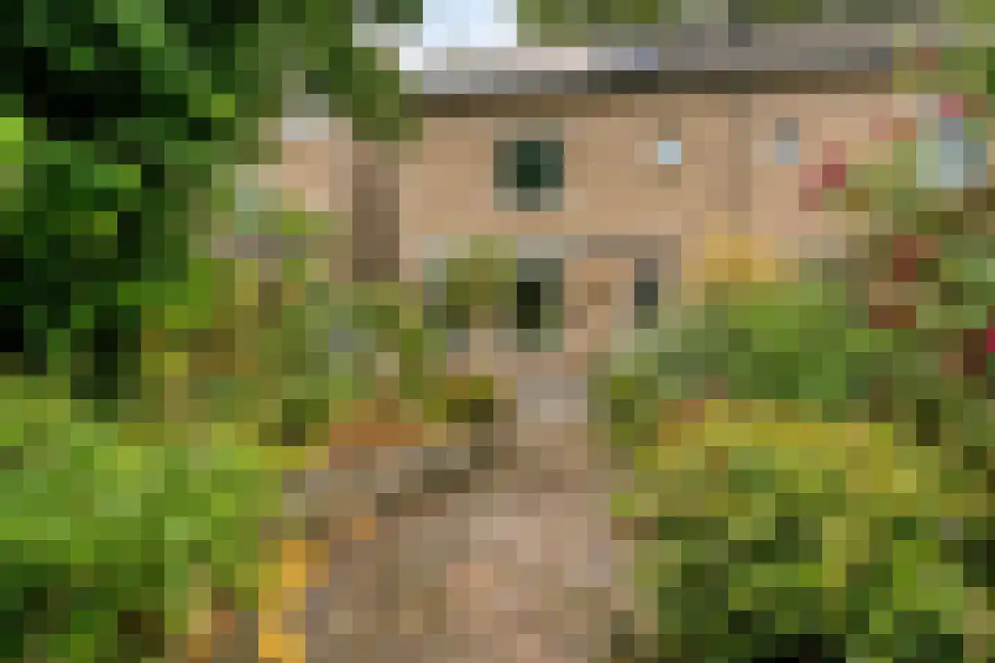 Prunusstraat 57 Oisterwijk thumbnail 21