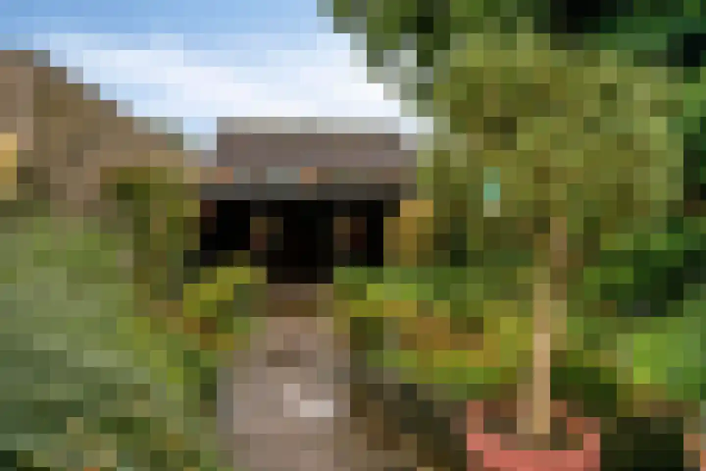 Prunusstraat 57 Oisterwijk thumbnail 22