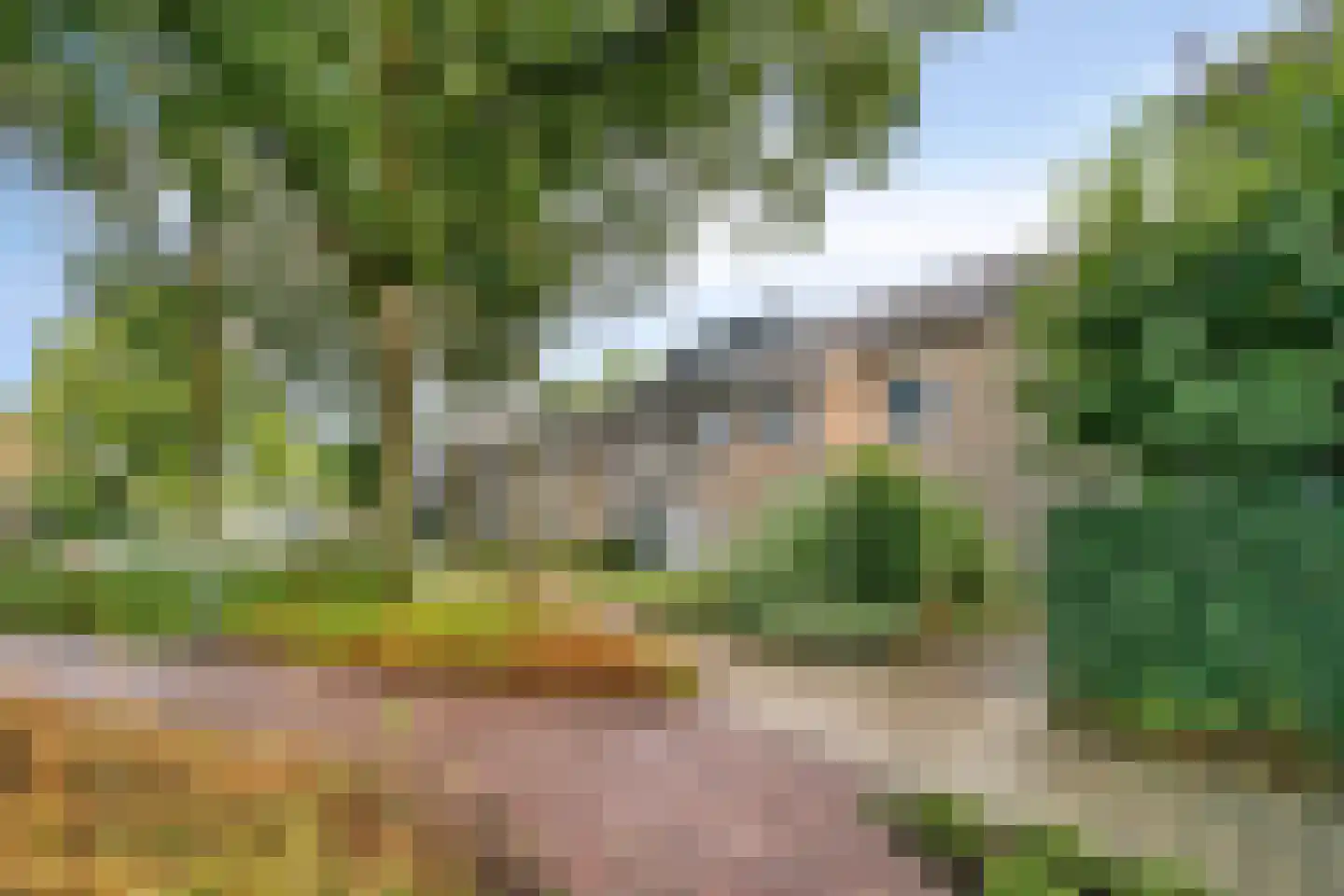 Prunusstraat 57 Oisterwijk thumbnail 24