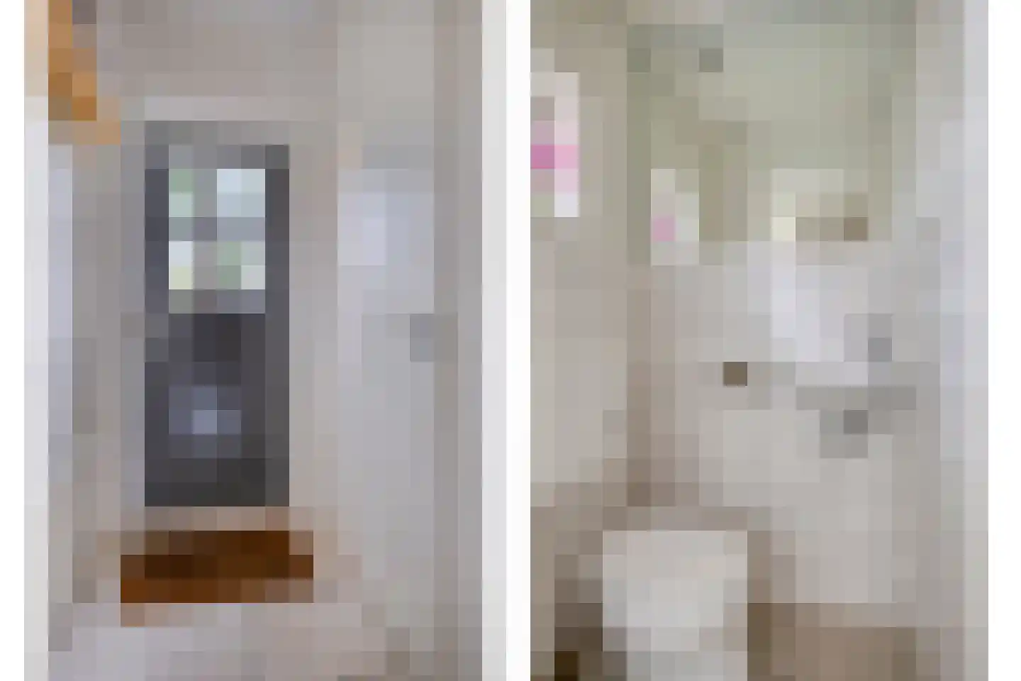 Prunusstraat 57 Oisterwijk thumbnail 4