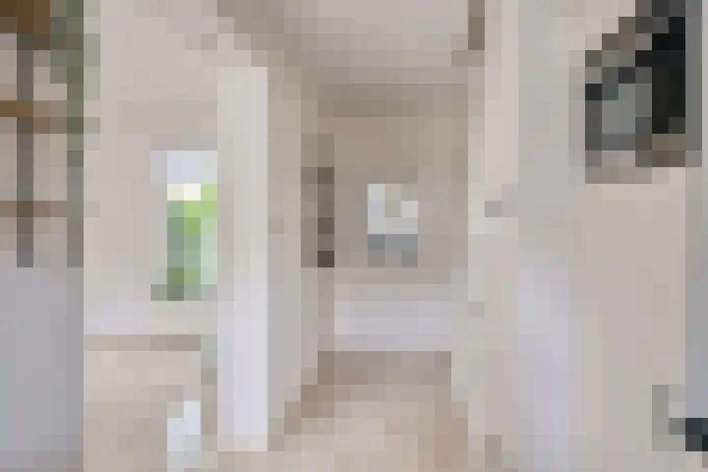 Prunusstraat 57 Oisterwijk thumbnail 5