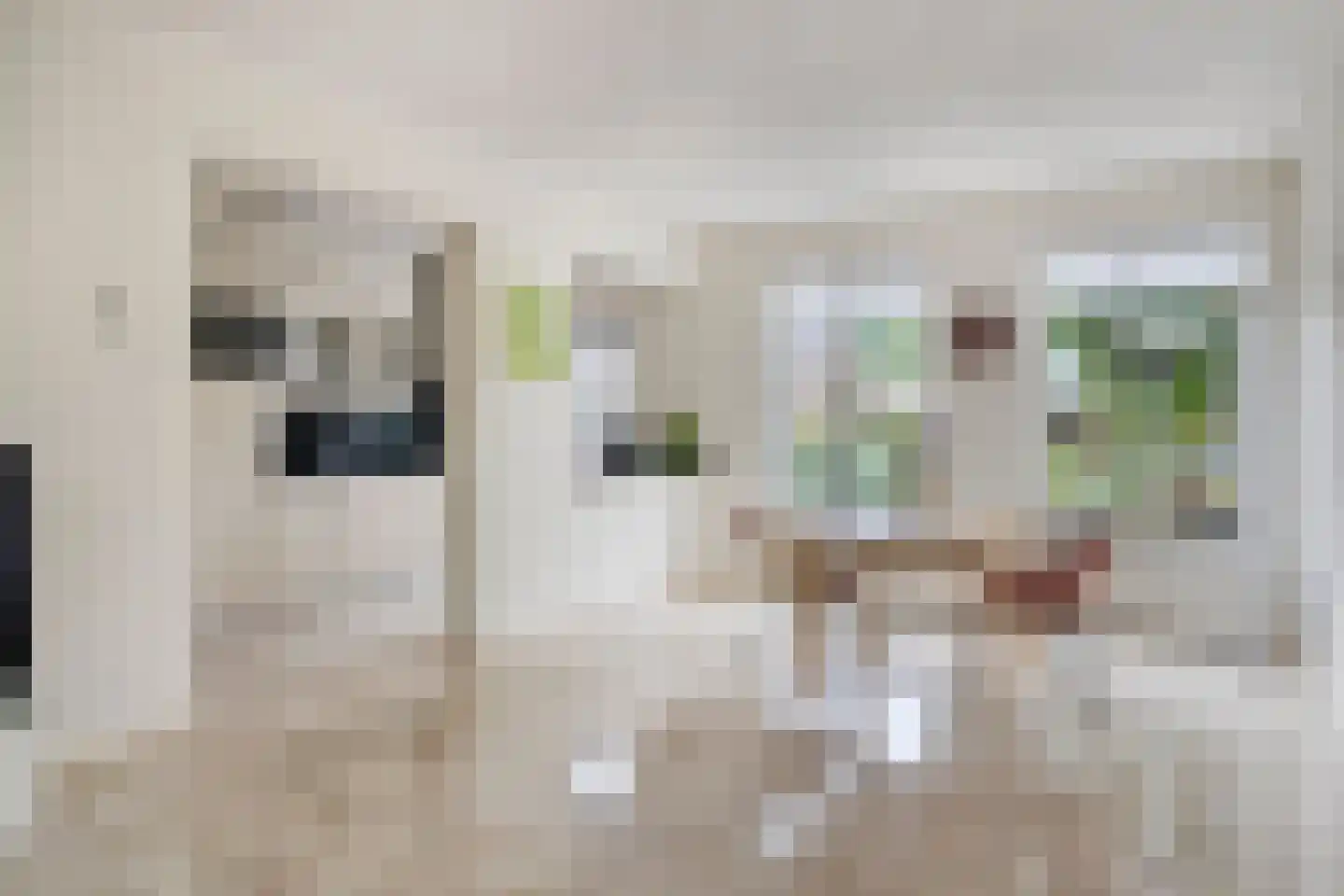 Prunusstraat 57 Oisterwijk thumbnail 6