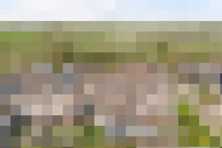 Prunusstraat 6 A 's-Gravenpolder thumbnail 44